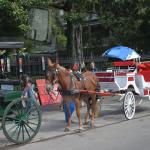 OTRA2014_1352 (September 03, 2014)